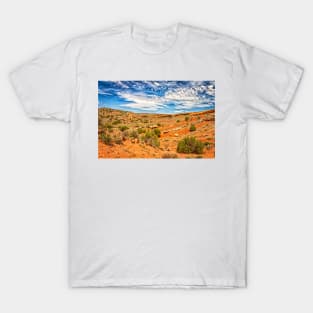 Arches National Park, Moab Utah T-Shirt